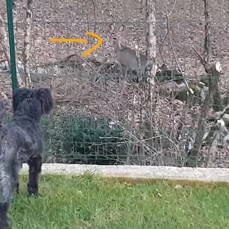 Appartement Birdsong Getaway *