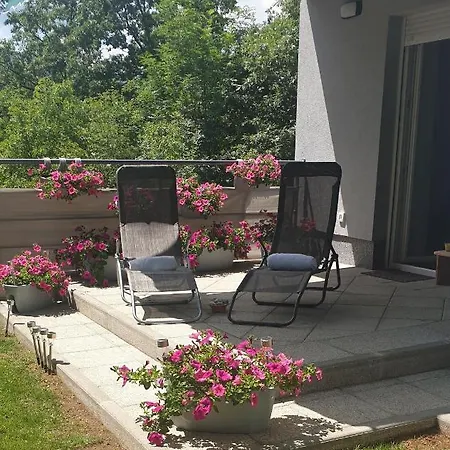 Birdsong Getaway A Peaceful, Pet-friendly Base For Exploring