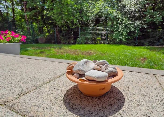Birdsong Getaway A Peaceful, Pet-friendly Base For Exploring